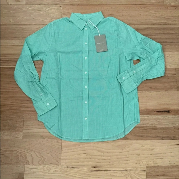 Everlane Classic Preppy Button Down Pinstripe top Size 6 Mint Green Cotton - Picture 1 of 10
